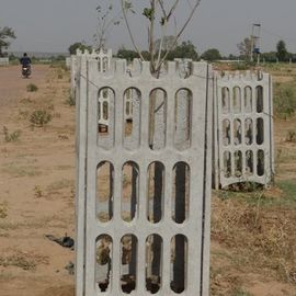 tree guards